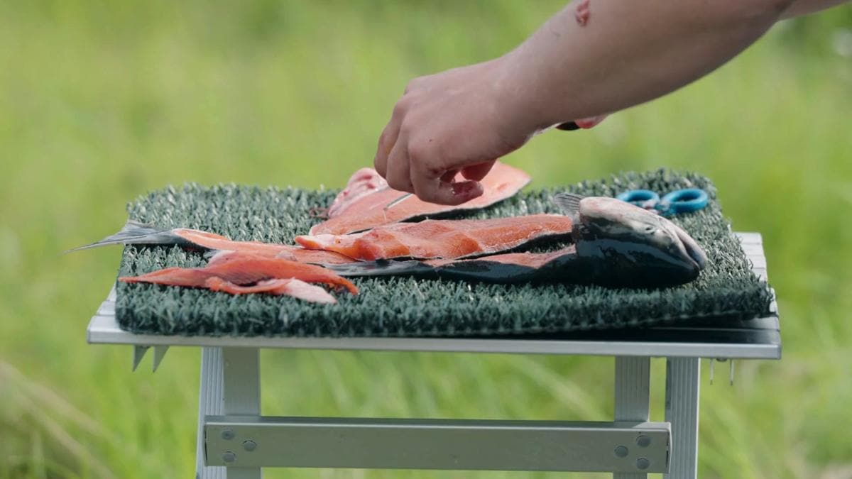 A skilled man expertly fillets a fresh salmon, using a sharp knife to make precise cuts along the fish's vibrant pink flesh. The scene captures his focused hands, showcasing years of practice in preparing this Alaskan delicacy.