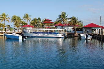 excursions in princess cays bahamas